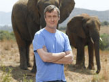 Stephen Tompkinson, Wild at Heart