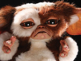 Gizmo from Gremlins