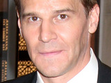 David Boreanaz at the 100th episode celebration of 'Bones' at 20th Century Fox Lot, Los Angeles
