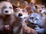 Mongrels