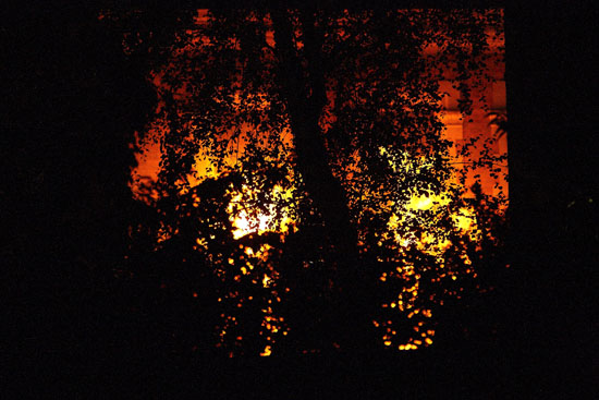 EastEnders Fire