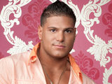 MTV. Jersey Shore cast member