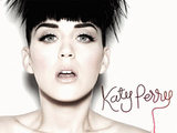 Katy Perry 'Firework'