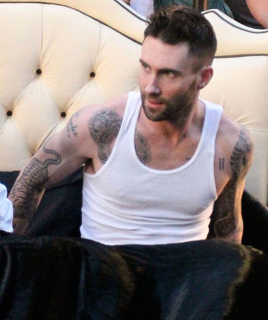 adam levine hair. hair Adam Levine is a real