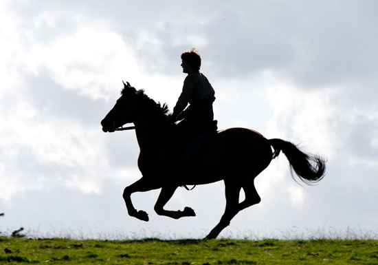 A still from 'War Horse'