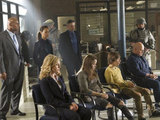 No Ordinary Family S01E19: 'No Ordinary Animal'