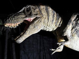 Dinosaur
