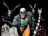DC Comics hero Animal Man