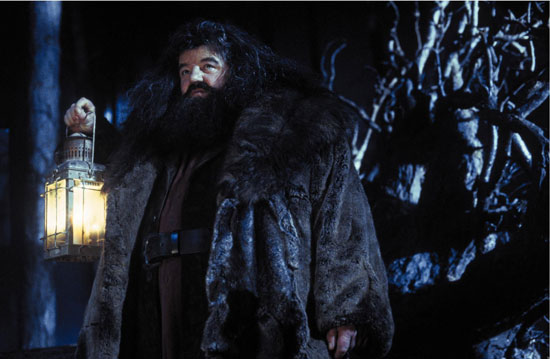 Robbie Coltrane as Hagrid