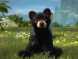 Screenshot from Kinectimals now with Bears! 