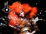 Bjork 'Biophilia'