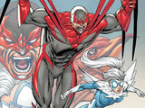 The New 52 - Hawk and Dove