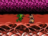 Battletoads