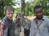 The Walking Dead S02E01
