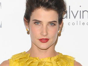 18th Annual Women in Hollywood Tribute: Cobie Smulders