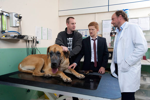 Chesney refusees to accept his dog is dying and insists on an expensive operation