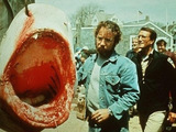 Jaws