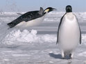 Frozen Planet