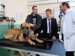 Chesney refusees to accept his dog is dying and insists on an expensive operation