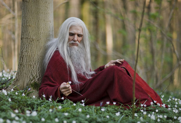 Old Merlin