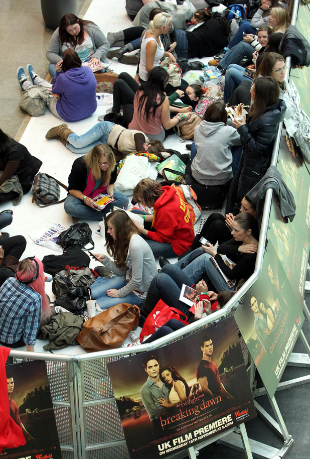 <em>Twilight</em> fans 