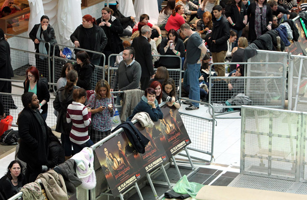 <em>Twilight</em> fans 