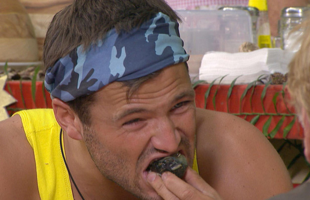 Mark Wright