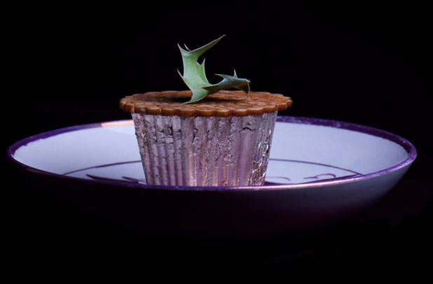 The world's most expensive mince pie