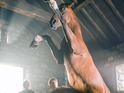 'War Horse' retains UK box office No. 1