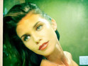 AnnaLynne McCord posts a picture on Twitter that included her nipple.