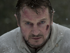 Liam Neeson