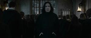 'Harry Potter and the Deathly Hallows Part 2' You seem to have clip