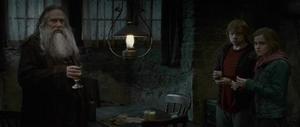 'Harry Potter and the Deathly Hallows Part 2' We need to get... clip