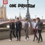 One Direction, One Thing