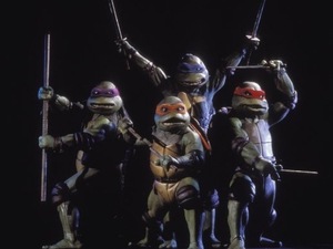 Teenage Mutant Heroes