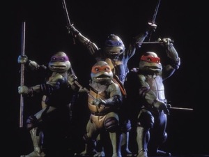 Teenage Mutant Heroes
