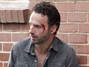 The Walking Dead S02E10: '18 Miles Out'