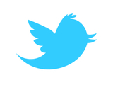 Twitter bird icon