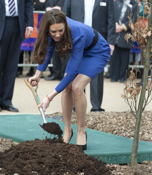 The Duchess of Cambridge