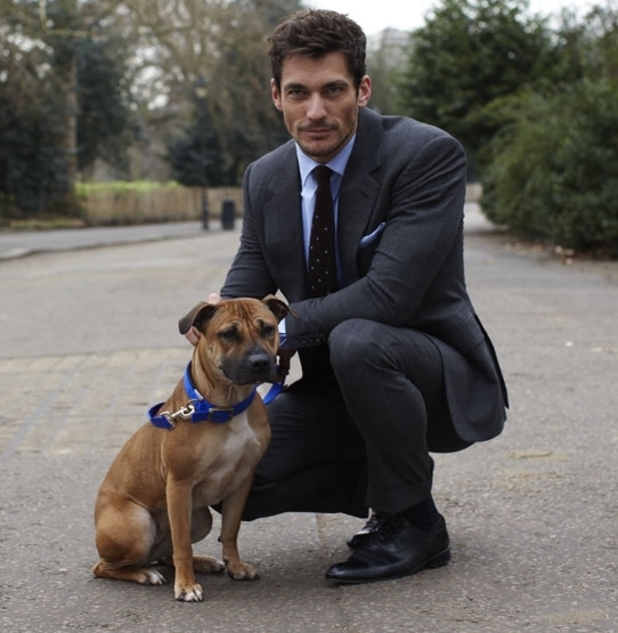 David Gandy as first Battersea Dogs and Cats Home ambassador