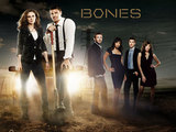 Bones