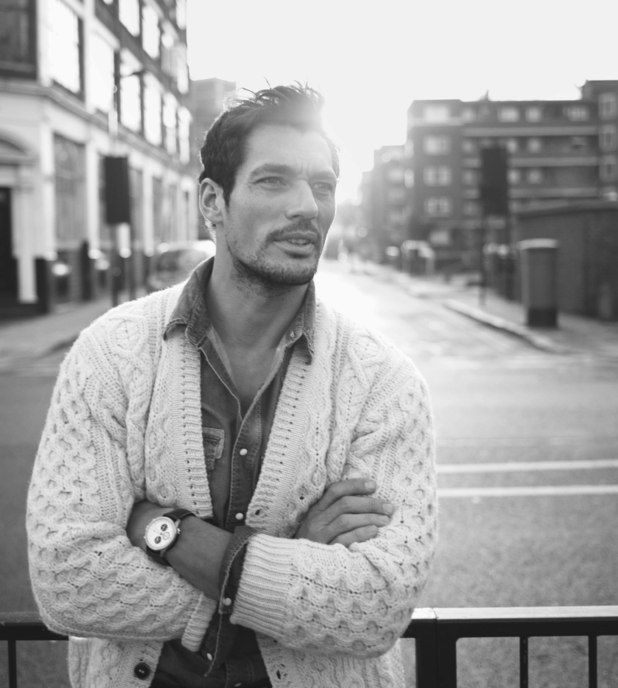 David Gandy
