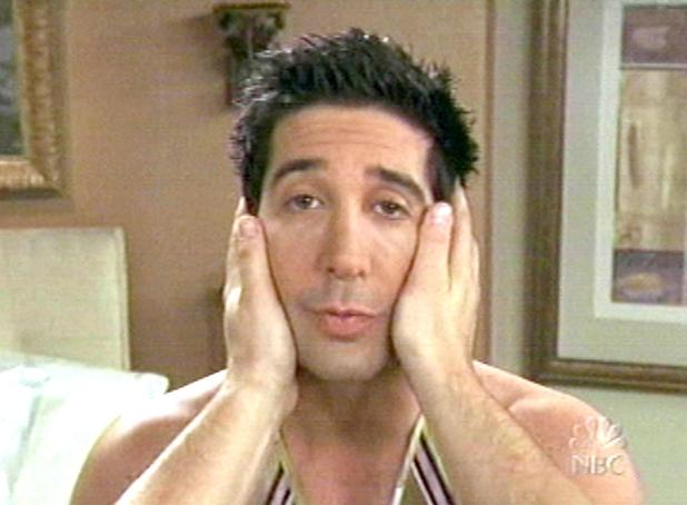 David Schwimmer as Ross