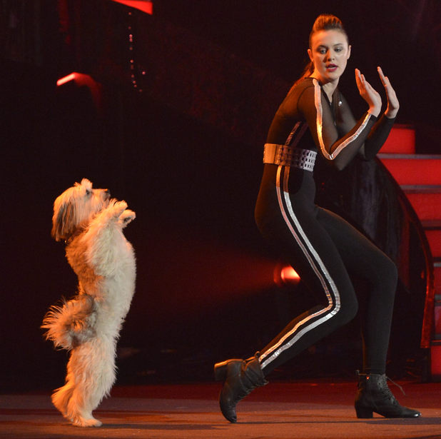 Britain's Got Talent Final: Ashleigh and Pudsey