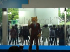 Intel launches Ultrabook laptop with dancing tiger in Japan - video