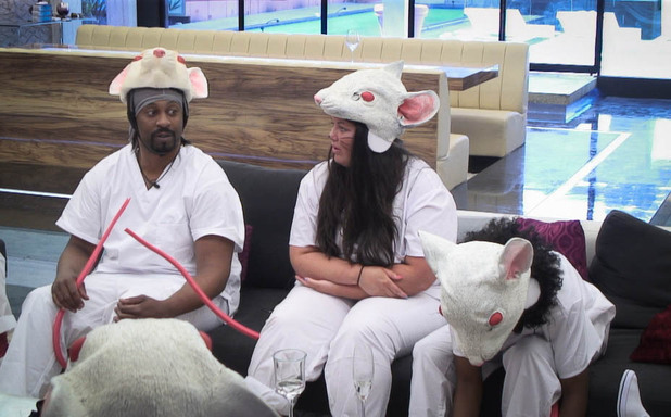 The rat lab task