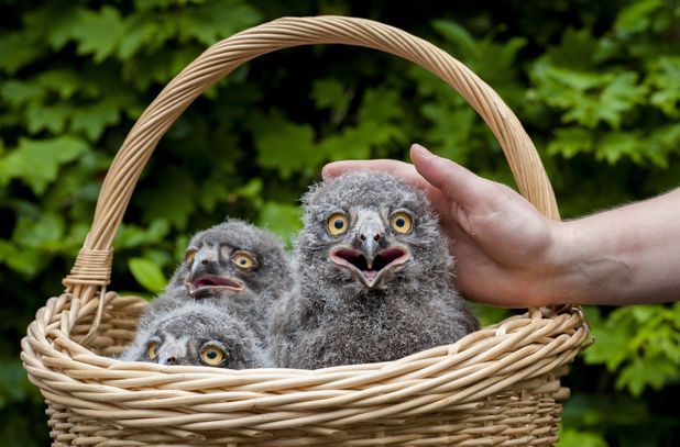 Pictures of the Week gallery