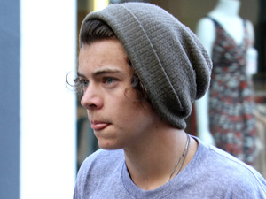 Harry Styles, house hunting