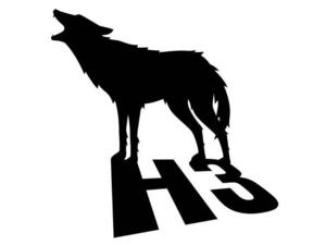 The Hangover 3 wolf teaser logo