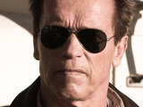 Arnold Schwarzenegger, The Last Stand